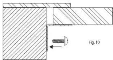 Fig. 10