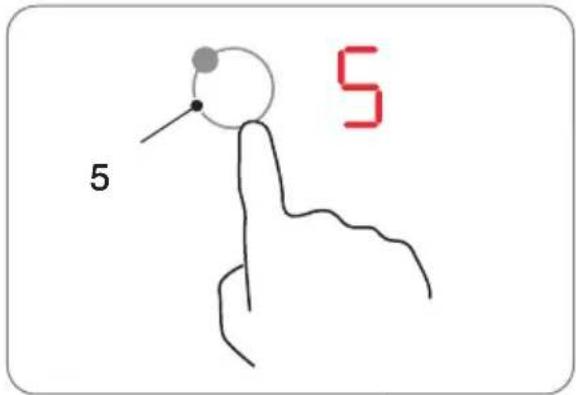 5 5