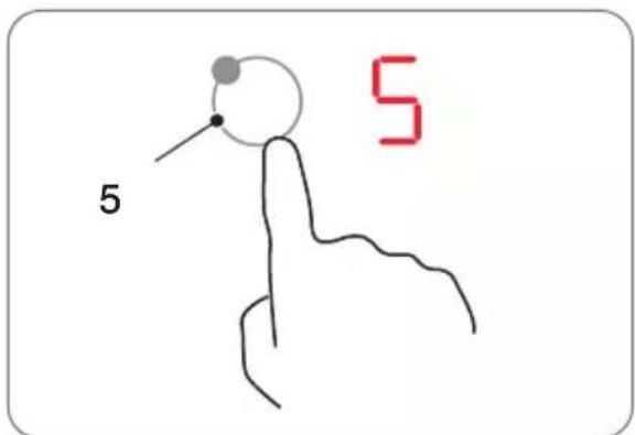 5 5