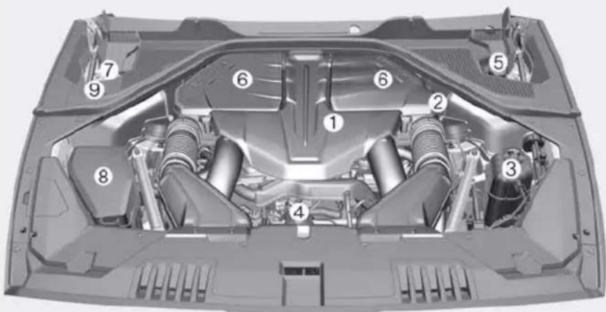 Technical diagram of a car engine bay with numbered components for identification