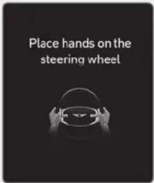 Place hands on the steering wheel