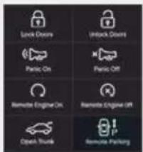 Lock Doors Unlock Doors Panc On Panc Off Remote Engine On Remote Engine Off Open Truck Remote Parking