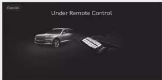 Cancel Under Remote Control
