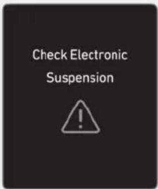 Check Electronic Suspension