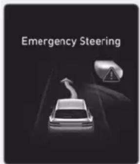 Emergency Steering