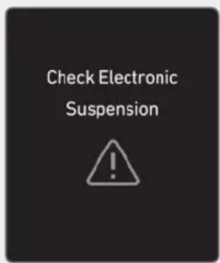 Check Electronic Suspension