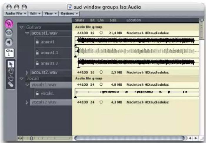 aud window groups.lso:Audio Audio File Edit View Options Guitar acoust1.wav acoust1 acoust1.1 acoust1.2 acoust2.wav Vocals vocals1.wav vocals1 vocals2.wav Audio file group 44100 16 ○ 21,4 MB Macintosh HDaudiedoku: 44100 16 ○ 2,5 MB Macintosh HDaudiedoku: 44100 24 ○ 4,8 MB Macintosh HDaudiedoku: 44100 24 ○ 4,3 MB Macintosh HDaudiedoku: