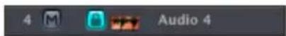 APPLE Logic Pro 7 - Protecting Tracks - 1