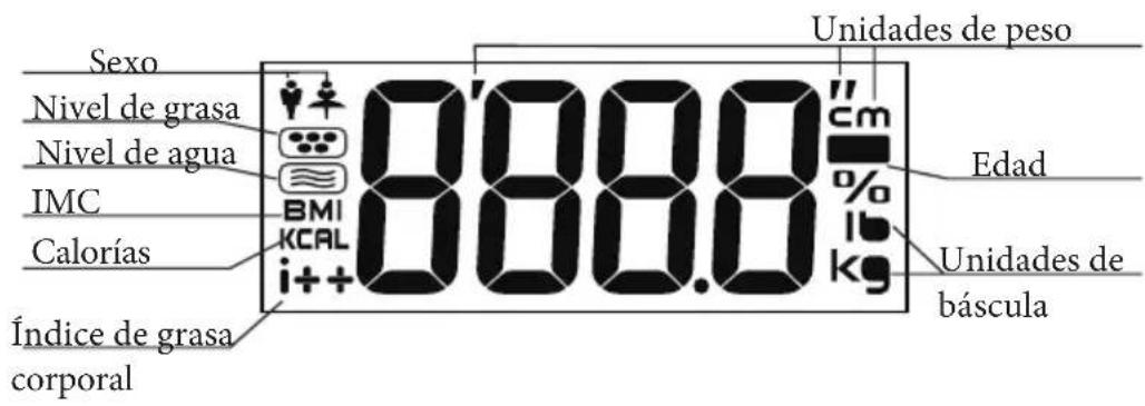 Sexo Nivel de grasa Nivel de agua IMC Calorías Índice de grasa corporal 888.0 cm % lb kg Unidades de peso Edad Unidades de báscula