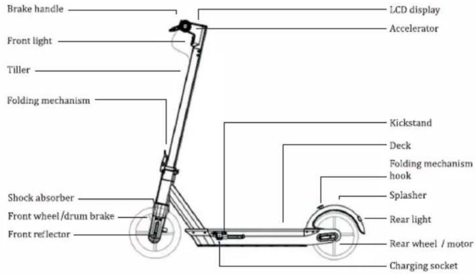 Brake handle Front light Tiller Folding mechanism Shock absorber Front wheel/drum brake Front reflector LCD display Accelerator Kickstand Deck Folding mechanism hook Splasher Rear light Rear wheel / motor Charging socket