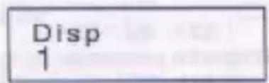 Disp 1