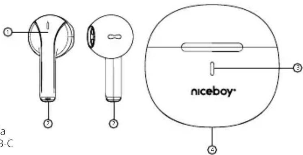 a 3-C niceboy®