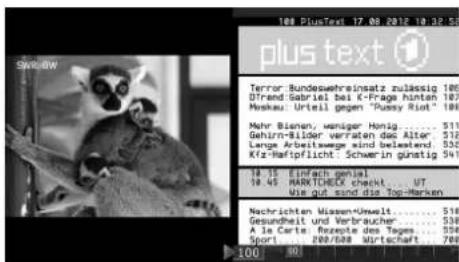METZ Topas 55TY91 - Accessing Picture-in-Picture (PIP): - 1