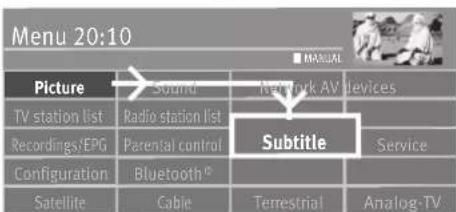 Menu 20:10 Picture Sound Network AV Devices TV station list Radio station list Recordings/EPG Parental control Configuration Bluetooth® Satellite Cable Terrestrial Analog-TV Subtitle