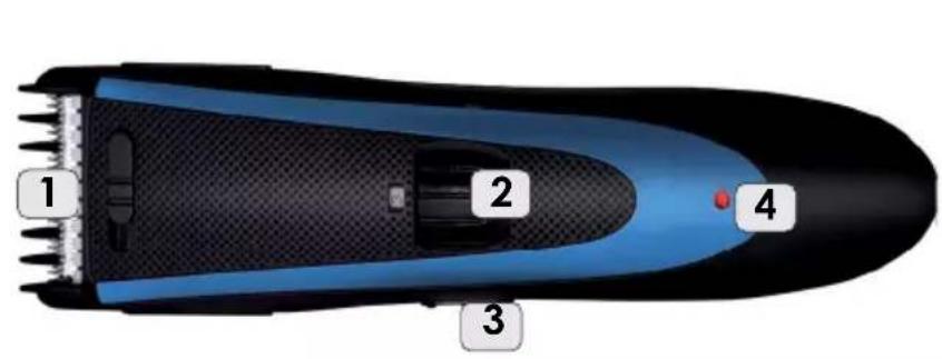 1 2 3 4