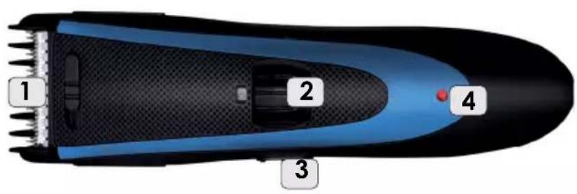1 2 3 4
