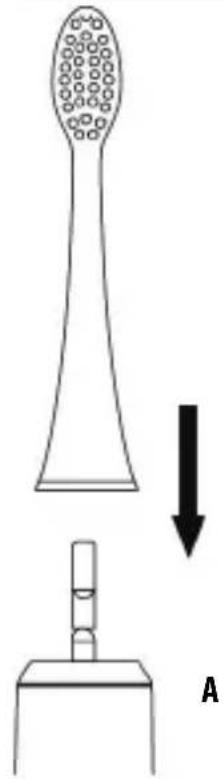 Eldom Sonica SD100 - 2