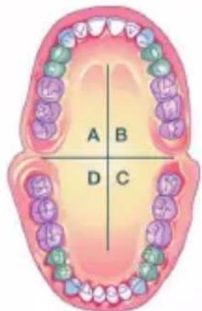 A B D C