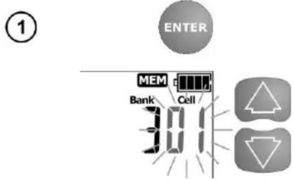 ENTER MEM Bank Cell 301