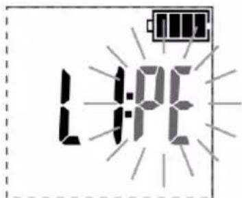L1:PE