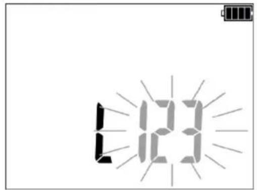 123