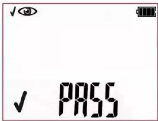 ✓ PASS