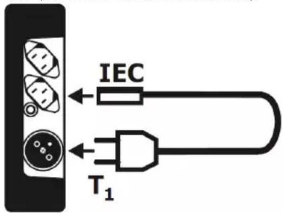 IEC T₁