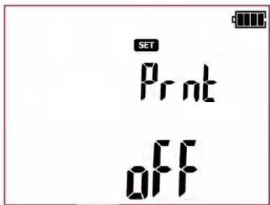 SET Print OFF