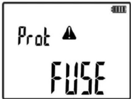 Prot FUSE