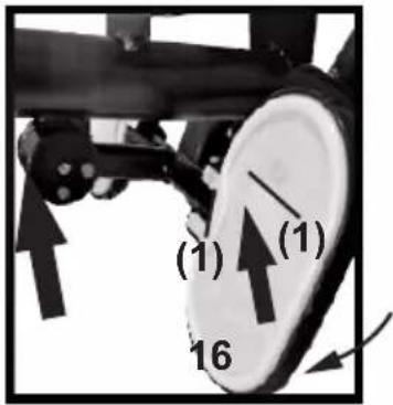 (1) (1) 16