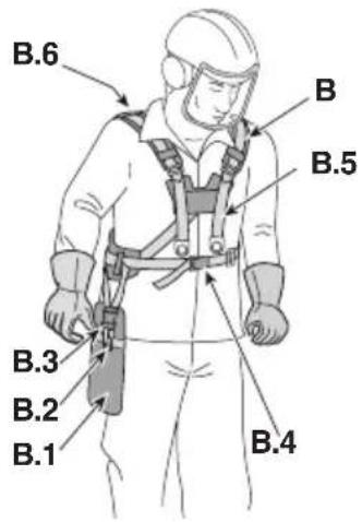 B.6 B B.5 B.3 B.2 B.1 B.4