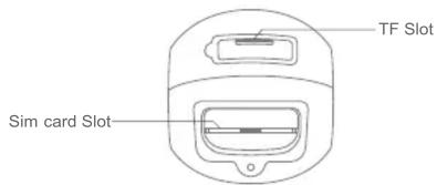 TF Slot Sim card Slot