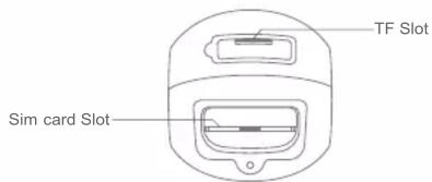 TF Slot Sim card Slot