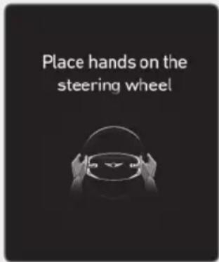 Place hands on the steering wheel