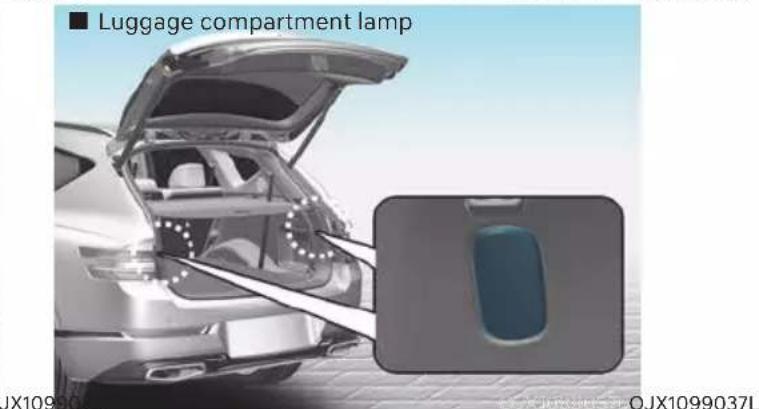 Luggage compartment lamp JX1099037L OJX1099037L