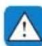 Genesis GV80 (2023) - WARNING - 1