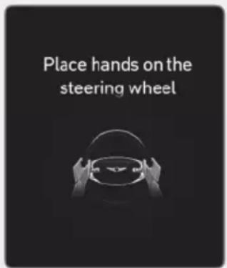 Place hands on the steering wheel