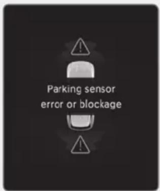 Parking sensor error or blockage