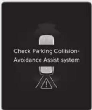 Check Parking Collision- Avoidance Assist system