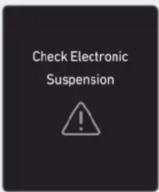 Check Electronic Suspension