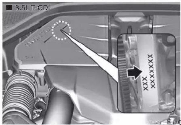 ■ 3.5L T-GDI XXXXXX