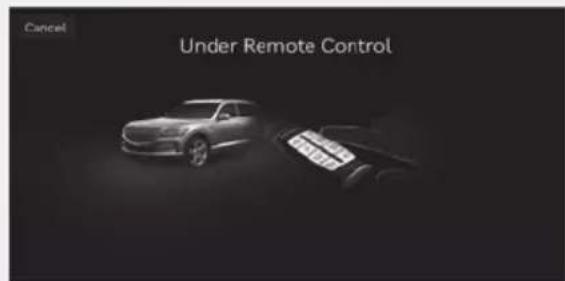 Cancel Under Remote Control