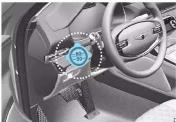 Genesis GV80 (2023) - WARNING - 1
