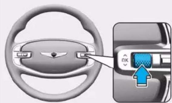 Genesis GV80 (2023) - CAUTION - 1