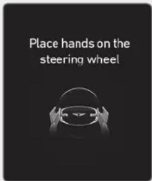 Place hands on the steering wheel
