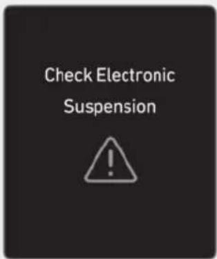 Check Electronic Suspension