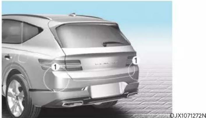 Genesis GV80 (2023) - CAUTION - 1