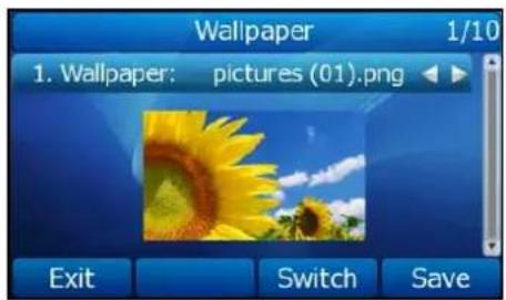 Wallpaper 1/10 1. Wallpaper: pictures (01).png Exit Switch Save