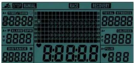 STOP MANUAL RACE RECOVERY TIME/500M TOTAL STROKES 8:00:00 88888 ALARM RPM A+ CALORIES 8888 C DISTANCE M 8:00:0.0 A+ PULSE 888.8.8 8:00:0.0 888