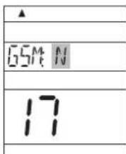 GSM N 17